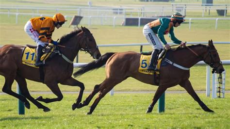 Cheltenham Festival day 4 tips: five horses to back on Friday.